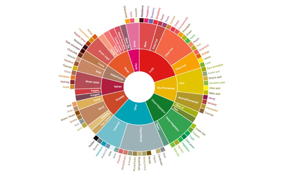 Why Does Coffee Taste Like Chocolate, Berries, Honey etc.?