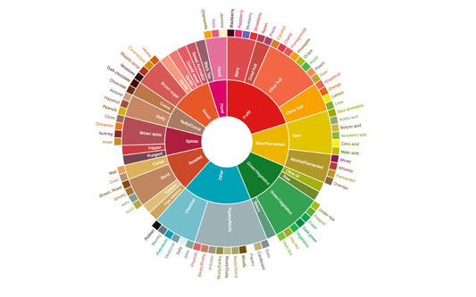 Why Does Coffee Taste Like Chocolate, Berries, Honey etc.?