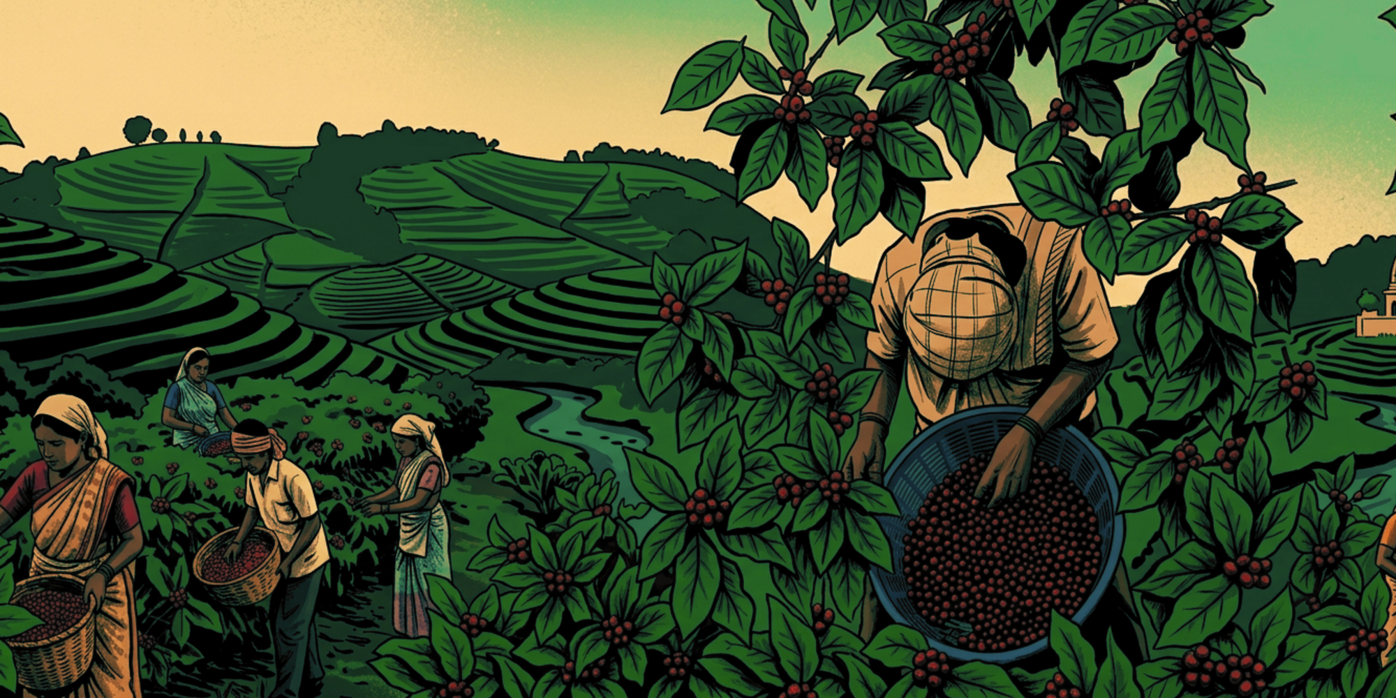 SIngle origin